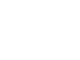 chip-check-icon