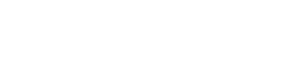 ALP4 Logo