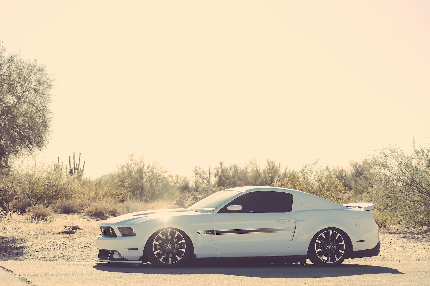 Photo by Jonathan Daniels - 2012 Ford Mustang