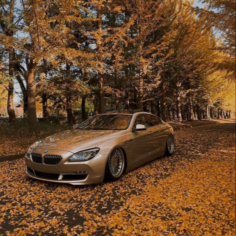 Leo's BMW